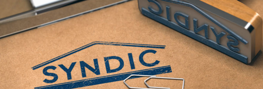 Syndic professionnel